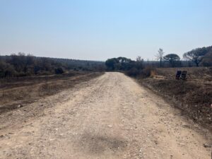 Vista de la Vega del Corregidor, en Tres Cantos - Foto de JT