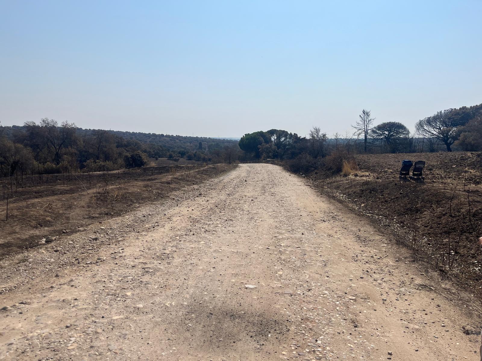 Vista de la Vega del Corregidor, en Tres Cantos - Foto de JT